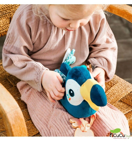 Pablo, Multi-activity Toucan