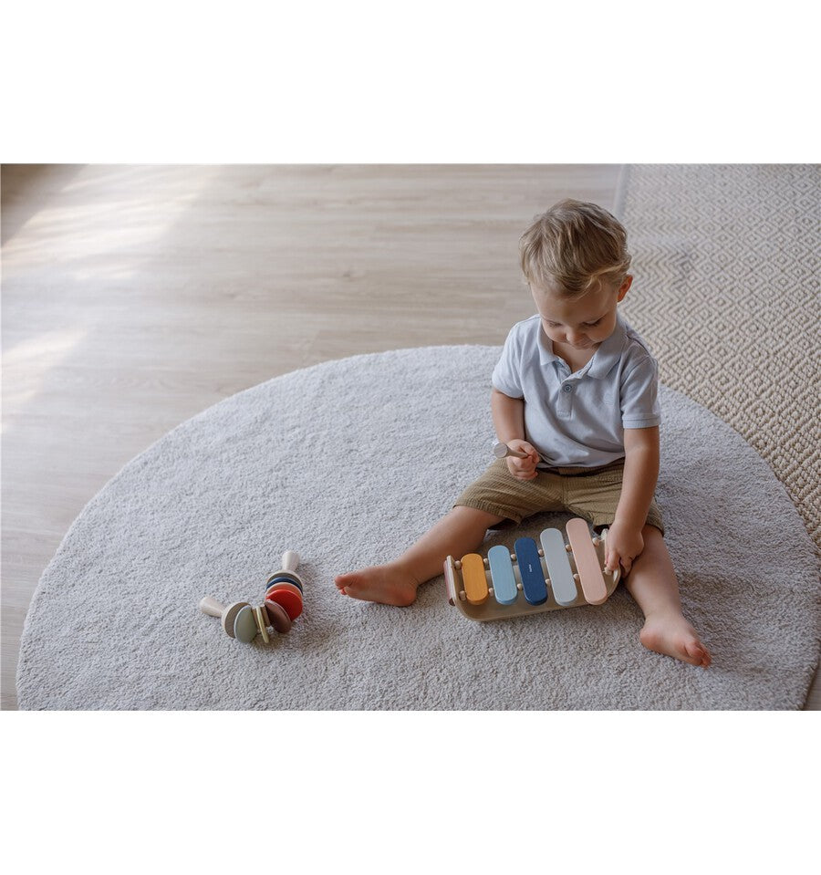 Orchard wooden xylophone, musical toy