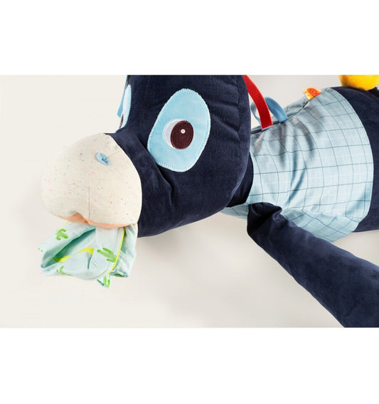 Ignace keeps your secrets, activity cushion