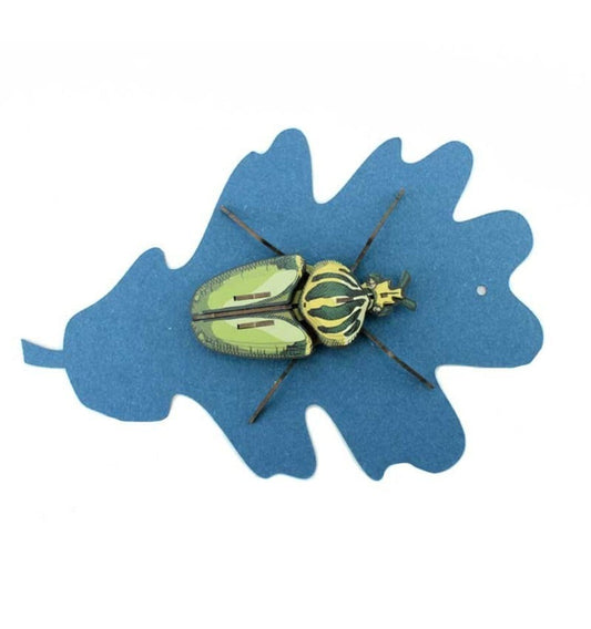 Globulus Giganticus Insect