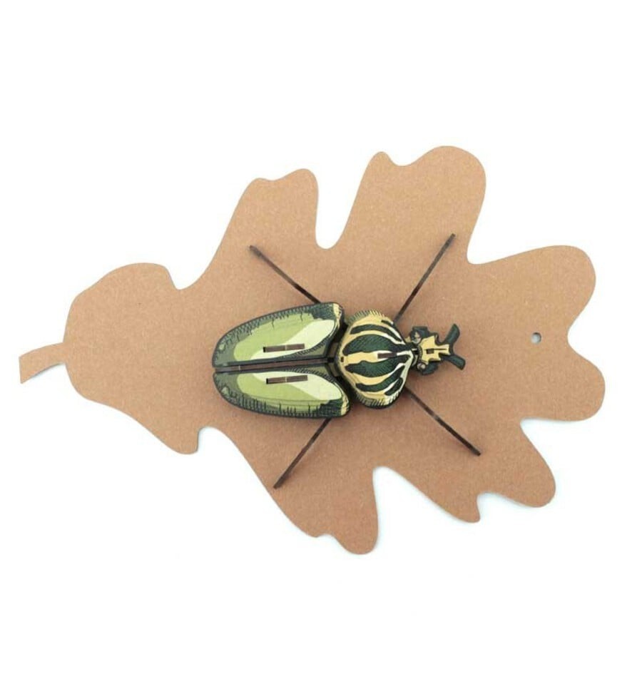 Globulus Giganticus Insect