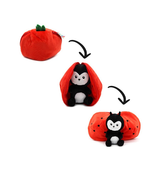 Comet, Ladybug and Tomato