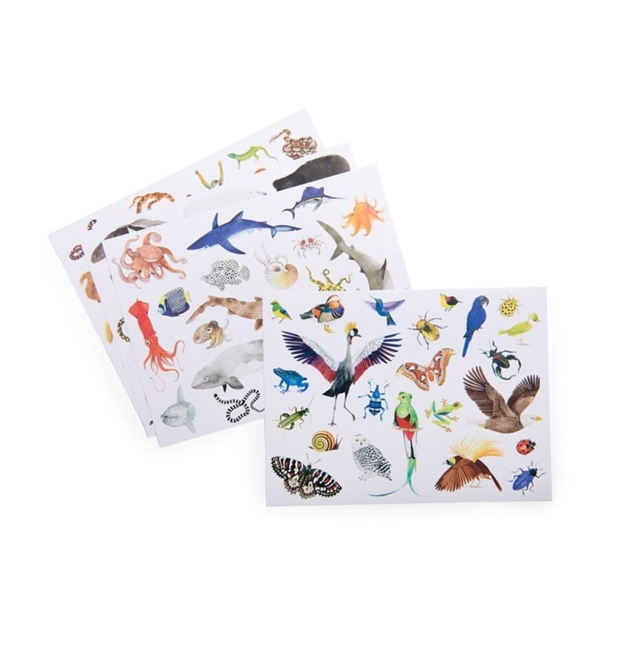 78 adesivos reposicionáveis ao redor do mundo