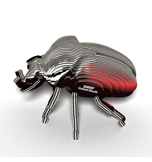 Dodoland - Eugy - Escarabajo Goliat - 111