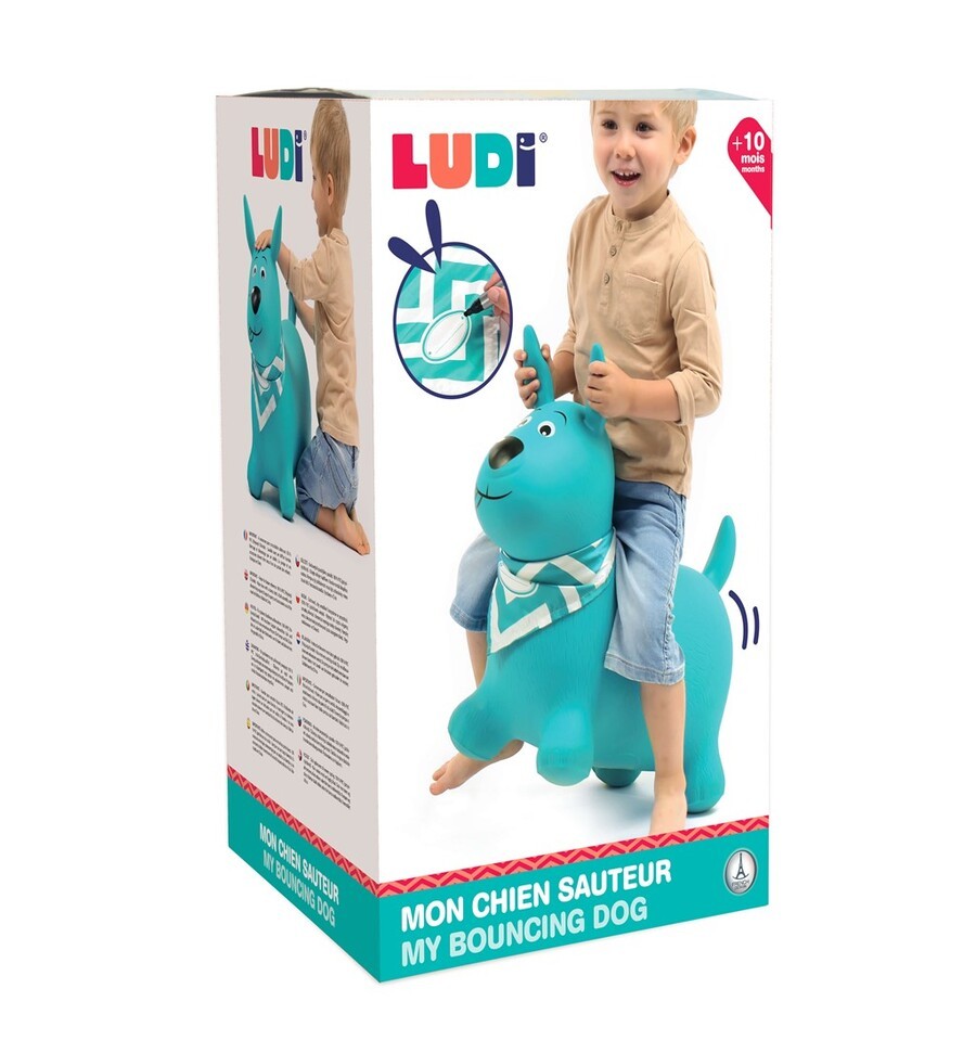 Mi perro saltarín azul