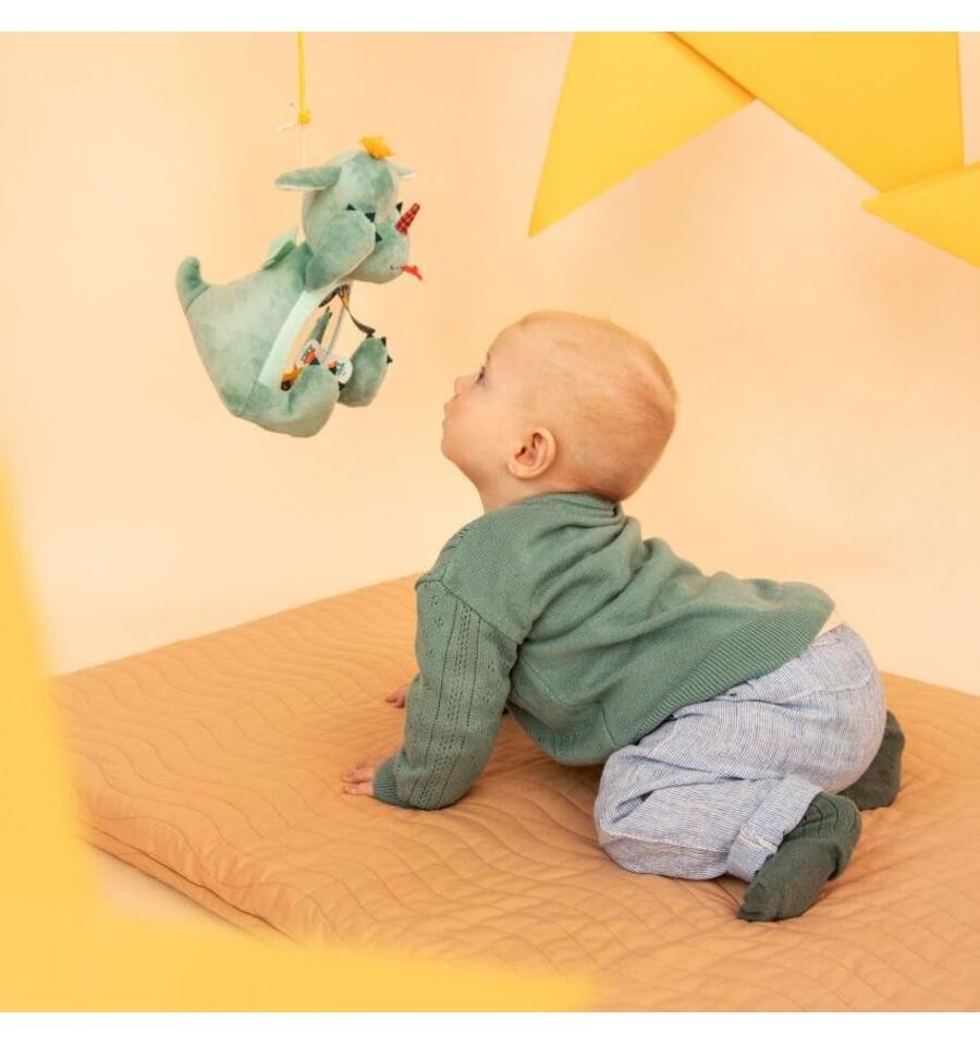 Joe, Peek-A-Boo Sensory Mirror