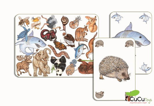 Zanimatch, card game