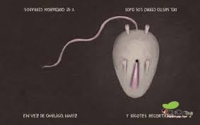 A Strange Bug, Children's Story