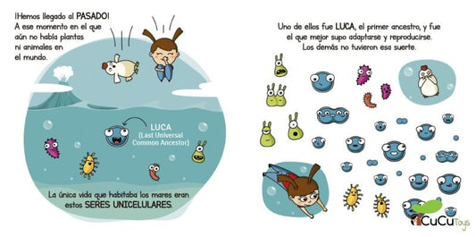 Evolution, Future Geniuses (3)