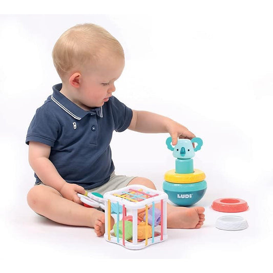 Ludi - Manipulation and motor skills games