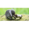 Dodoland - Eugy Elefante - Cucutoys