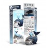 Dodoland - Ballena de Groenlandia - Cucutoys