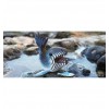 Dodoland - Eugy - Leopard Seal - Cucutoys