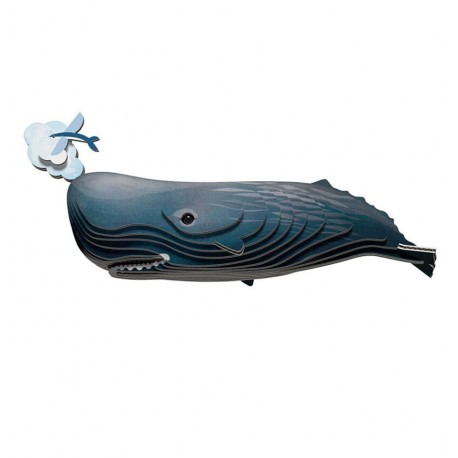 Dodoland - Eugy Sperm Whale - Cucutoys
