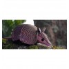 Dodoland - Eugy Armadillo - Cucutoys