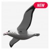 Dodoland - Eugy Albatros - Cucutoys