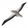 Dodoland - Eugy Albatros - Cucutoys