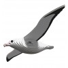 Dodoland - Eugy Albatros - Cucutoys