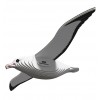 Dodoland - Eugy Royal Albatross - Cucutoys