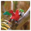 Mieredu - Papagaio - Eco 3D Mini Puzzle