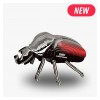 Dodoland - Eugy Goliath Beetle - Cucutoys