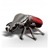 Dodoland - Eugy Goliath Beetle - Cucutoys