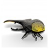 Dodoland - Eugy Rhino Beetle - Cucutoys