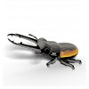 Dodoland - Eugy Stag Beetle