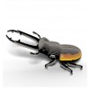 Dodoland - Eugy Stag Beetle