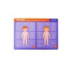 Mieredu - Human Anatomy Magnetic Pad