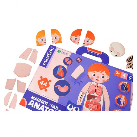 Mieredu - Human Anatomy Magnetic Pad