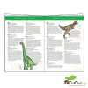 Djeco - Dinosaurios, puzzle + libro educativo