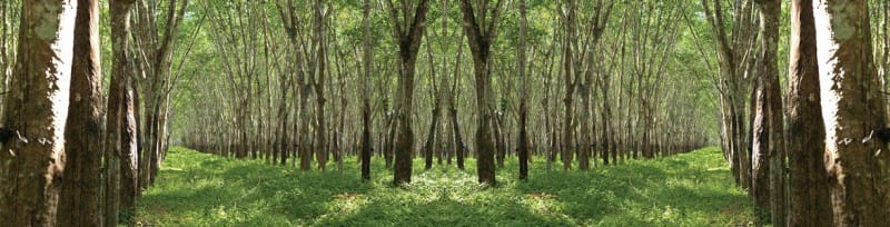 Un mundo más sostenible y mejor: La historia de PlanToys