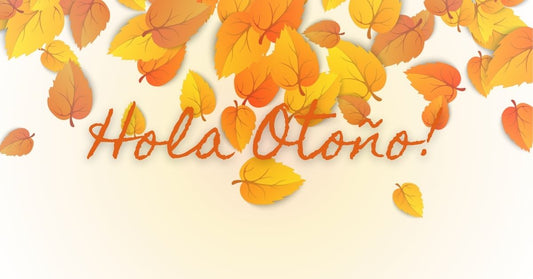 Juegos y juguetes educativos para el otoño: ideas para volver a la rutina con alegría