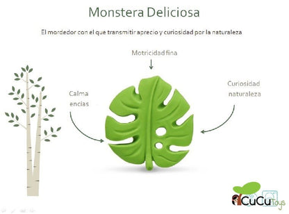 Monstera Deliciosa, rubber teether
