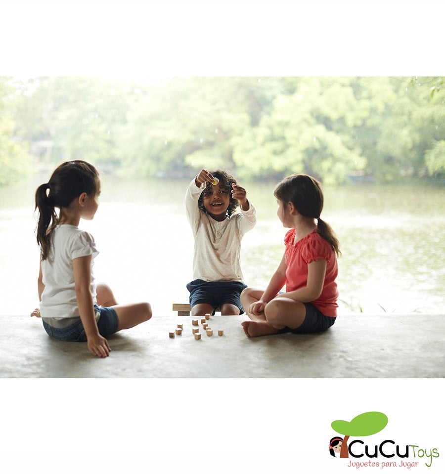 Tin Memory Game, Wooden Toy