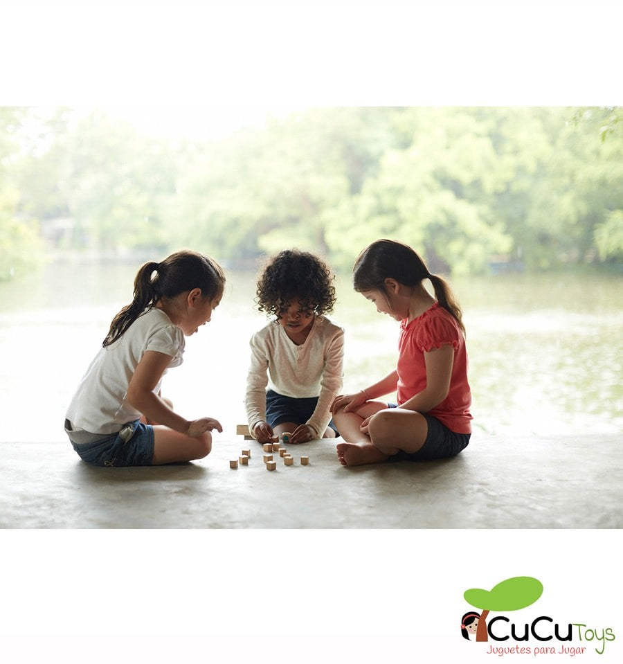 Tin Memory Game, Wooden Toy