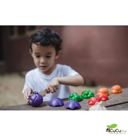 Set of 5 colorful vegetables, wooden toy