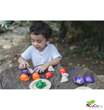 Set of 5 colorful vegetables, wooden toy