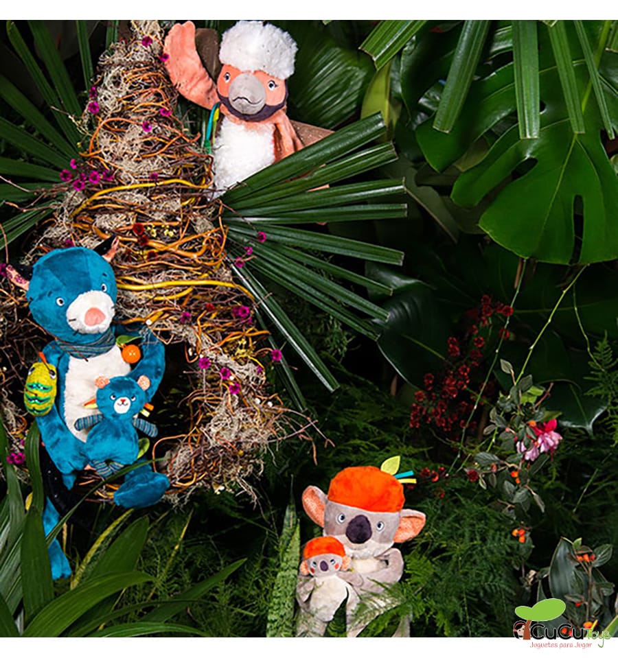 Dove, Bird of Activities - In the Jungle