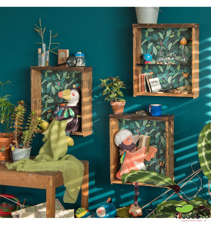 Dove, Bird of Activities - In the Jungle