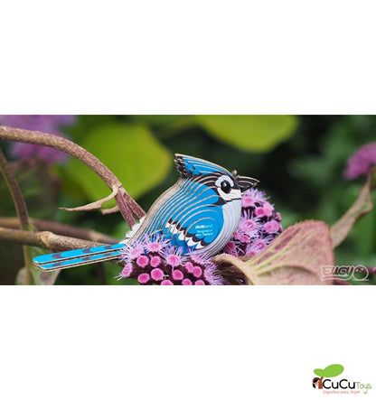 Dodoland - Eugy Gaio-azul - 067