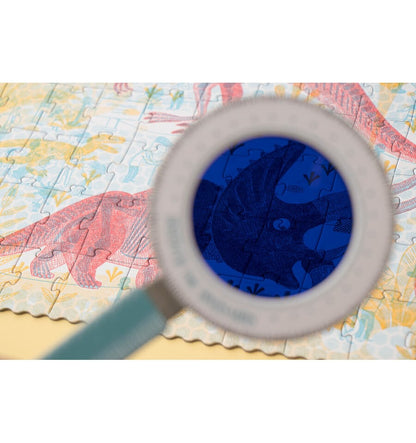 Discover the Dinosaurs