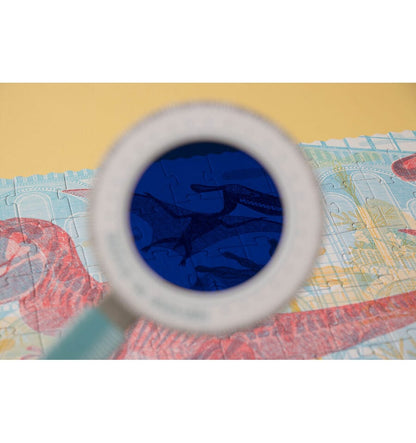 Discover the Dinosaurs