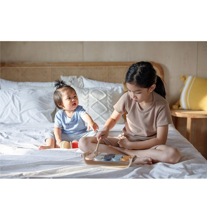 Orchard wooden xylophone, musical toy