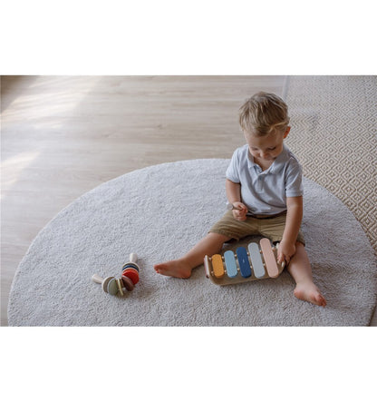 Orchard wooden xylophone, musical toy
