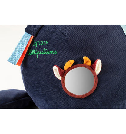 Ignace keeps your secrets, activity cushion