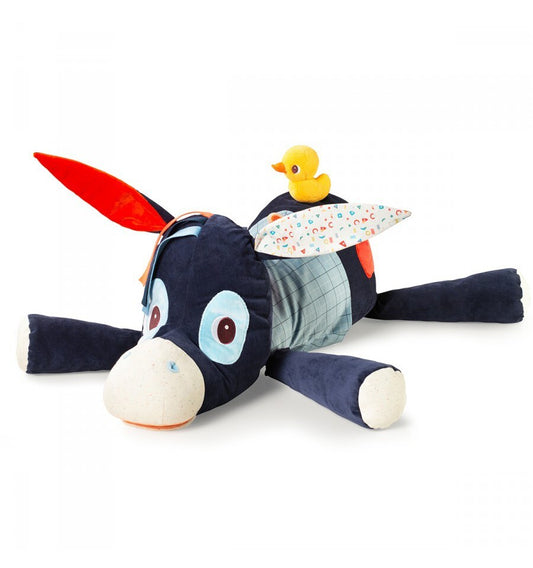 Ignace keeps your secrets, activity cushion