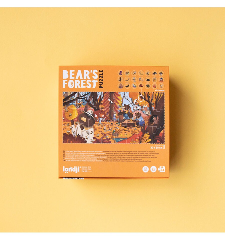 Bear's Forest, Observation Puzzle