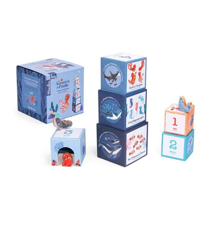 Cubos apilables - Las aventuras de Paulie